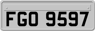 FGO9597