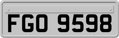 FGO9598