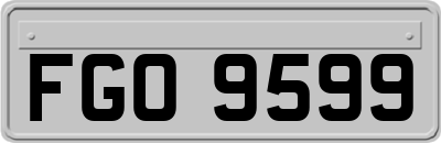 FGO9599