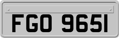 FGO9651