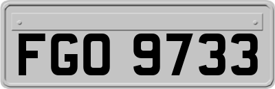 FGO9733