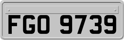 FGO9739