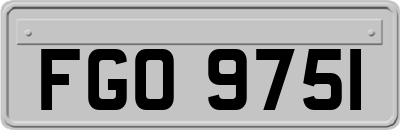 FGO9751