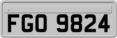 FGO9824