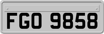 FGO9858
