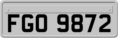 FGO9872