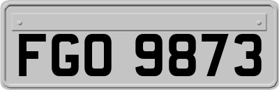FGO9873
