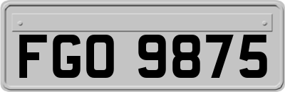 FGO9875