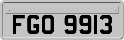 FGO9913