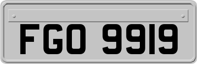 FGO9919
