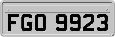 FGO9923