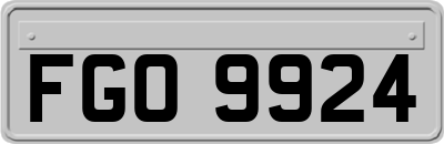 FGO9924