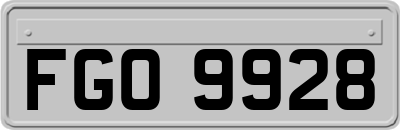 FGO9928