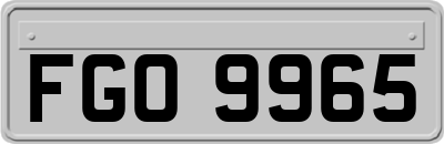 FGO9965