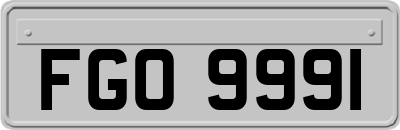 FGO9991