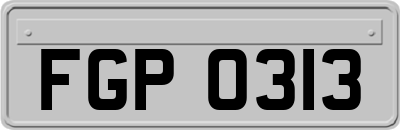 FGP0313