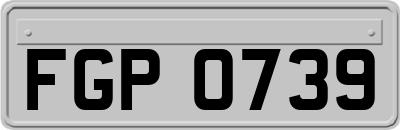 FGP0739