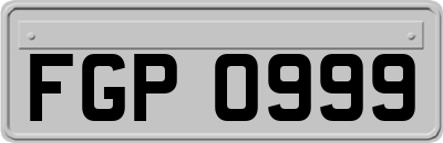 FGP0999