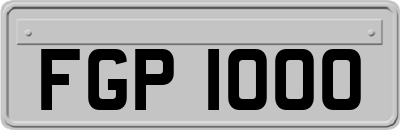 FGP1000