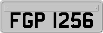 FGP1256