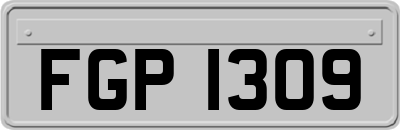FGP1309