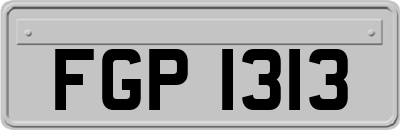 FGP1313