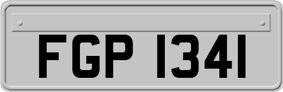FGP1341