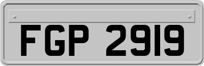 FGP2919