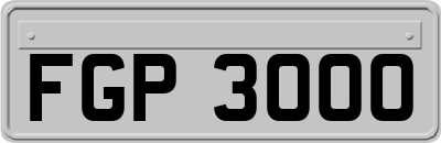 FGP3000