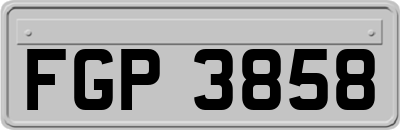 FGP3858