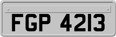 FGP4213