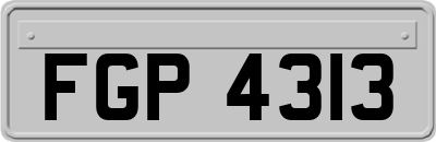 FGP4313