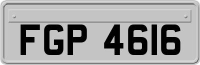 FGP4616