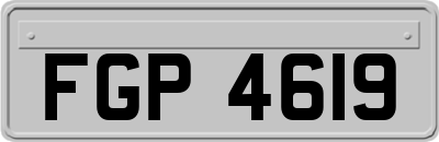 FGP4619