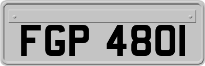 FGP4801