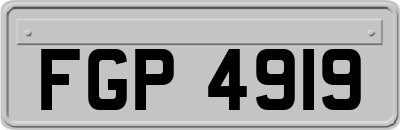 FGP4919