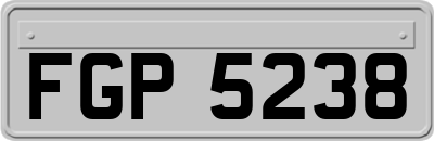 FGP5238