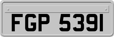 FGP5391