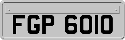 FGP6010