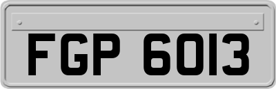FGP6013