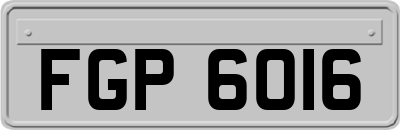 FGP6016