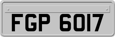 FGP6017