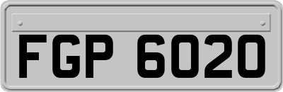 FGP6020