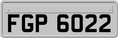 FGP6022