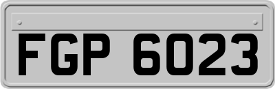 FGP6023