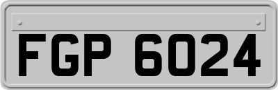 FGP6024