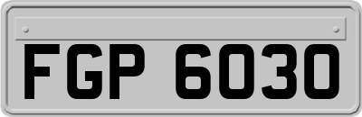 FGP6030
