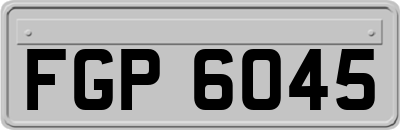 FGP6045