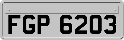 FGP6203