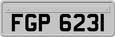 FGP6231